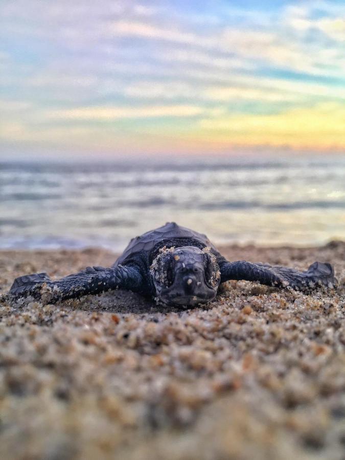 Aparthotel Por Do Sol Sal Rei Dış mekan fotoğraf